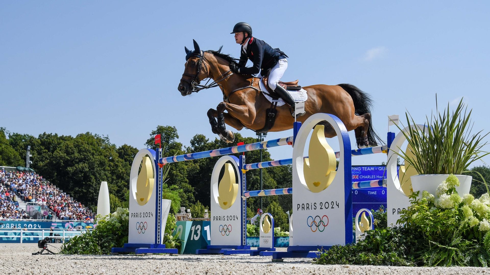 Post-competition equine recovery session